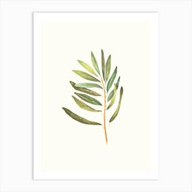 Olive Branch Watercolor Painting Art Print
