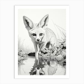 Fennec Fox Finds Water Pencil Drawing 3 Art Print