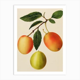 Gooseberry Watercolour Fruit Painting Fruit Art Print