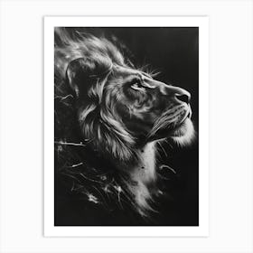 African Lion Charcoal Drawing Night Hunt 4 Art Print