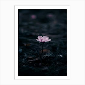 Flower In The Dark 7 Art Print