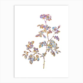 Stained Glass White Sweetbriar Rose Mosaic Botanical Illustration on White n.0305 Art Print