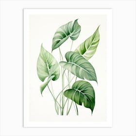 Tropical Leaves 4 Art Print