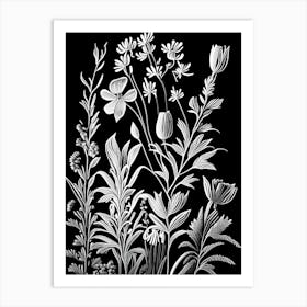 Veronica Wildflower Linocut Art Print