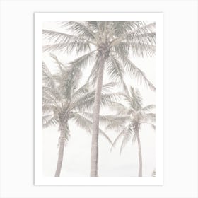 Palms On Beach Art Print