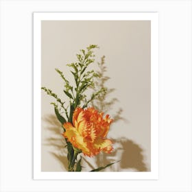 Carnation Art Print