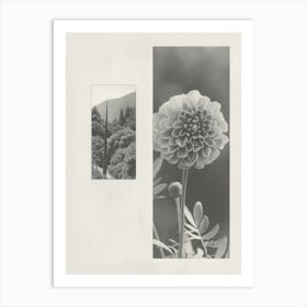 Marigold Flower Photo Collage 3 Art Print
