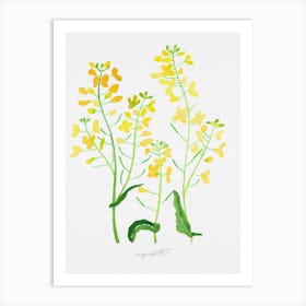 Rape plant with flowers Art Print