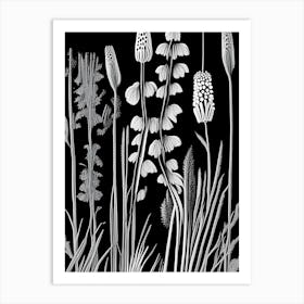 Horsetail Wildflower Linocut 2 Art Print