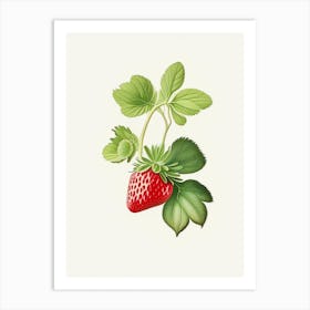 Everbearing Strawberries, Plant, Marker Art Illustration 1 Art Print