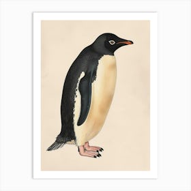 Adlie Penguin Ross Island Vintage Botanical Painting 1 Art Print