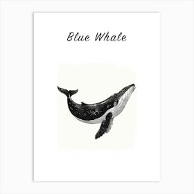 B&W Blue Whale Poster Art Print