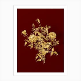 Vintage Dwarf Rosebush Botanical in Gold on Red n.0506 Art Print