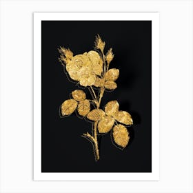 Vintage White Misty Rose Botanical in Gold on Black n.0393 Art Print