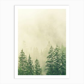 Misty Forest 1 Art Print