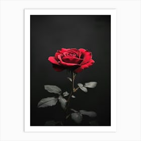 Dark Rose 126 Art Print