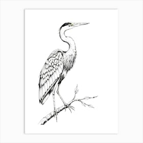 Great Blue Heron 1 Art Print