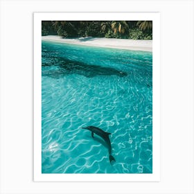 Dolphin In The Ocean Art Print