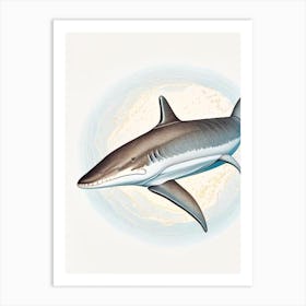 Galapagos Shark 2 Vintage Art Print