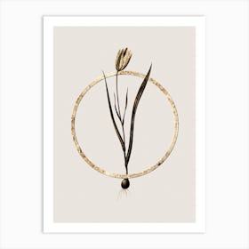Gold Ring Lady Tulip Glitter Botanical Illustration Art Print
