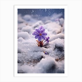 Beautiful Winter Flowers 45 Art Print