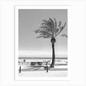 Palm Tree On The Beach Black and White Art Print
