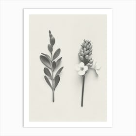 Freesia Flower Photo Collage 4 Art Print