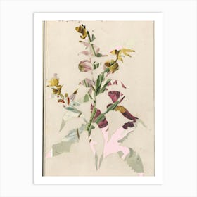 The First Plant · M3 Art Print