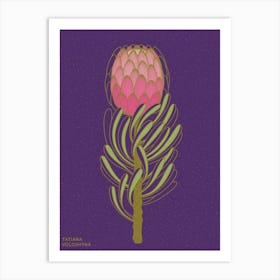 Protea Flower Art Print