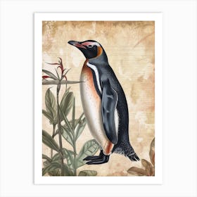 Adlie Penguin Robben Island Vintage Botanical Painting 4 Art Print