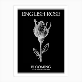 English Rose Blooming Line Drawing 3 Poster Inverted Art Print