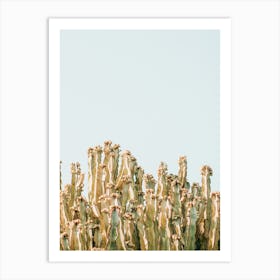 Sunny Cactus Art Print