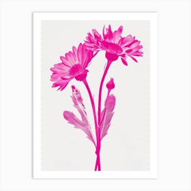 Hot Pink Calendula 1 Art Print