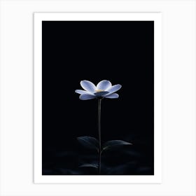 Flower In The Dark 1 Art Print