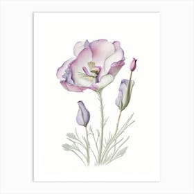 Eustoma Floral Quentin Blake Inspired Illustration 3 Flower Art Print