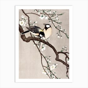 Blue Tits on a Cherry Blossom Branch Vintage 19th Century Birds Painting Art Print