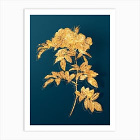 Vintage Shining Rosa Lucida Botanical in Gold on Teal Blue n.0013 Art Print