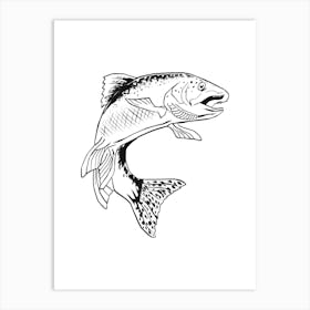 Trout. California usa. Art Print