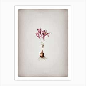 Vintage Autumn Crocus Botanical on Parchment n.0383 Art Print