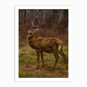 Vintage Painting Stag In The Woods Art Print