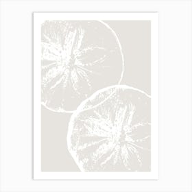 Sand Dollar 1 Art Print