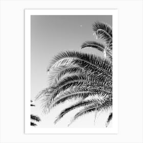 Palmtree Blackandwhite, Palms at the Italian coast Art Print