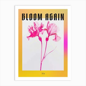 Hot Pink Iris 2 Poster Art Print