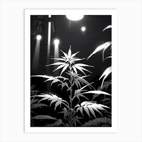 Marijuana Plant In The Dark Art Print