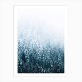 Moody Forest In The Fog Art Print