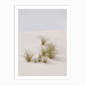 Desert Sand Grasses Art Print