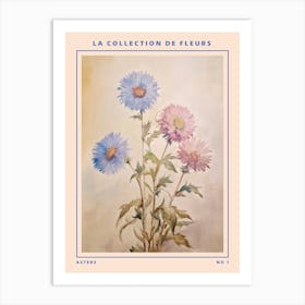 Aster French Flower Botanical Poster Art Print