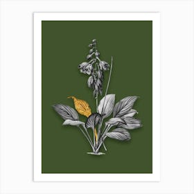 Vintage Daylily Black and White Gold Leaf Floral Art on Olive Green n.0629 Art Print