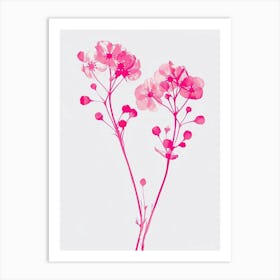 Hot Pink Gypsophila Art Print