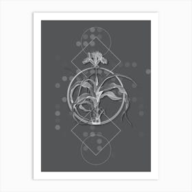 Vintage Iris Scorpiodes Botanical with Line Motif and Dot Pattern in Ghost Gray n.0417 Art Print